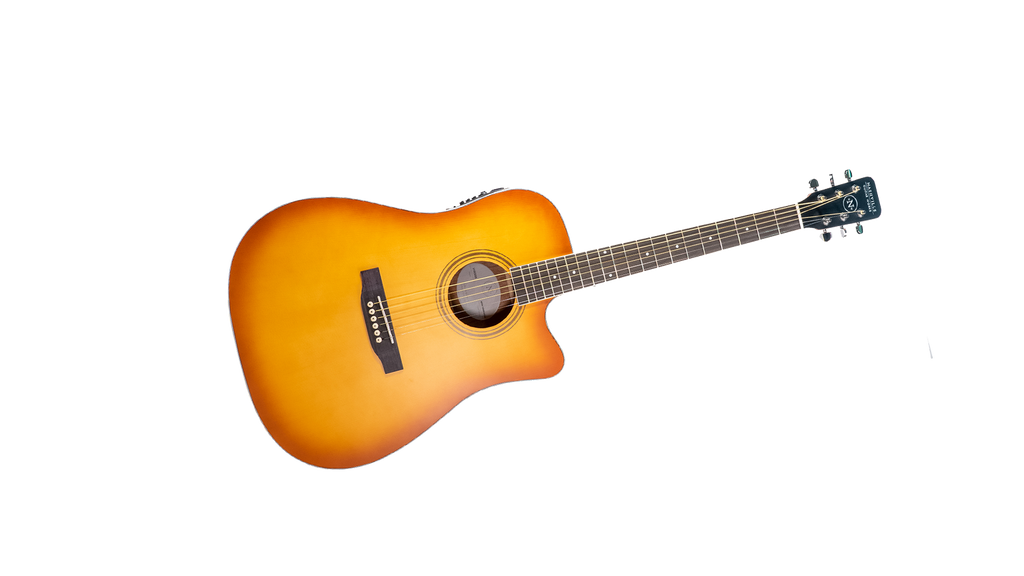 NGW D10CEEB Dreadnought Cutaway Acoustic-Electric Guitar - Edgeburst with Gig Bag