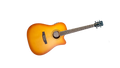 NGW D10CEEB Dreadnought Cutaway Acoustic-Electric Guitar - Edgeburst with Gig Bag